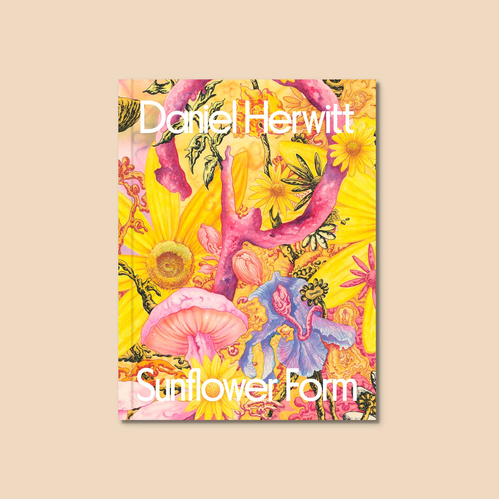 Daniel Herwitt: Zonnebloemvorm Kunstboek