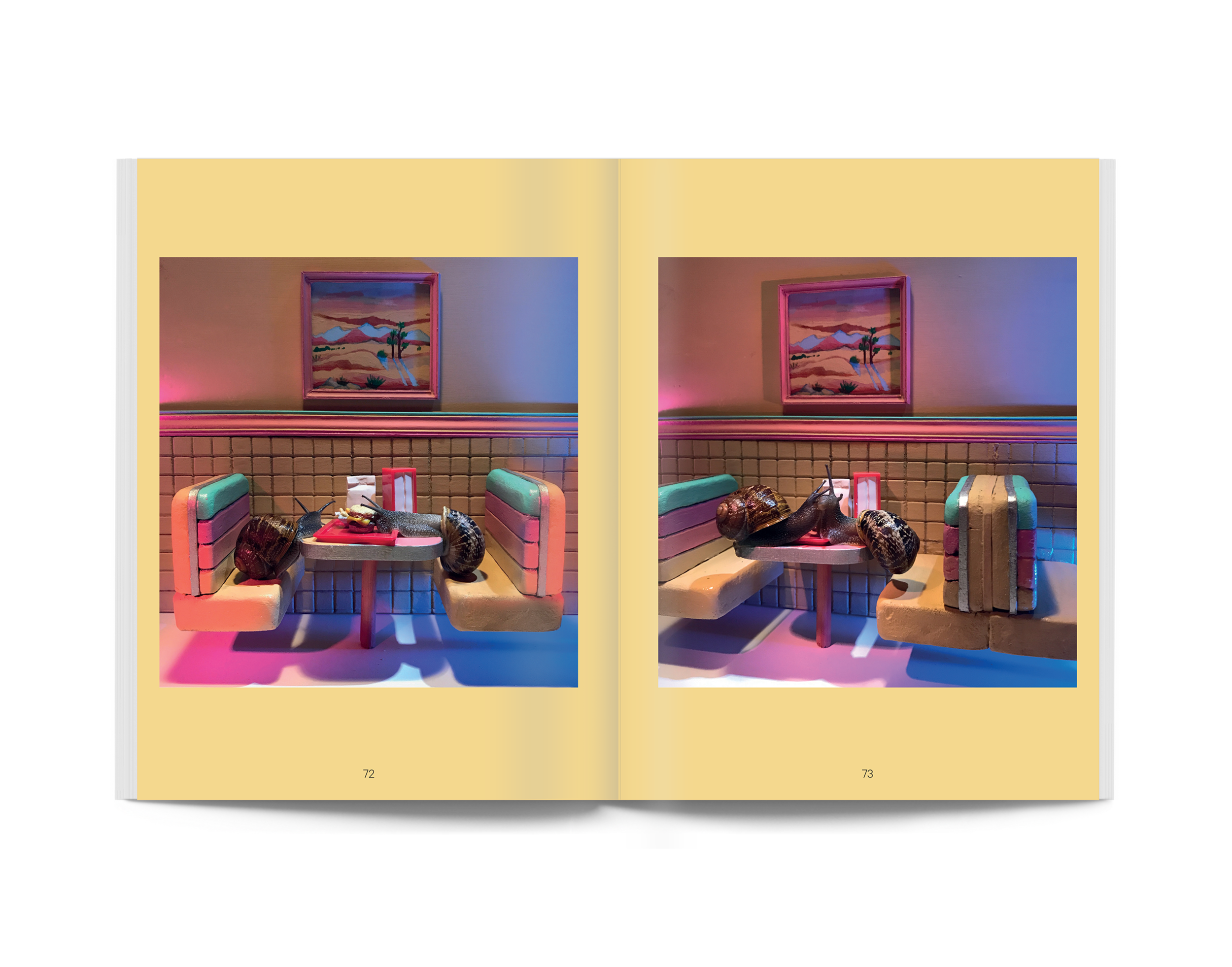 Snail World: Life in the Slimelight koffietafelboek