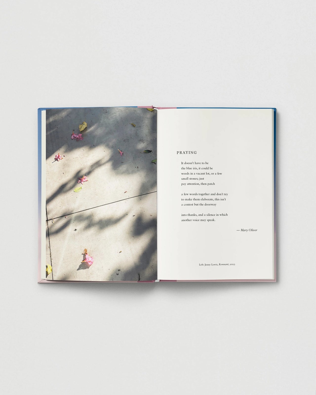 Everyday wonder - 03