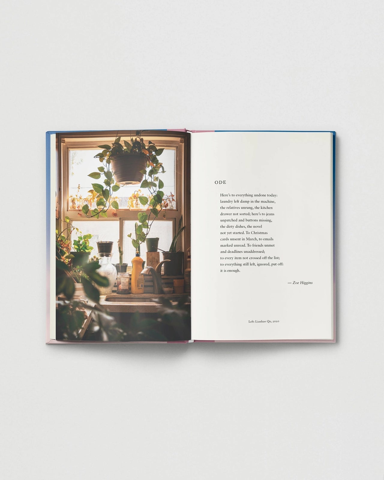 Everyday wonder - 05