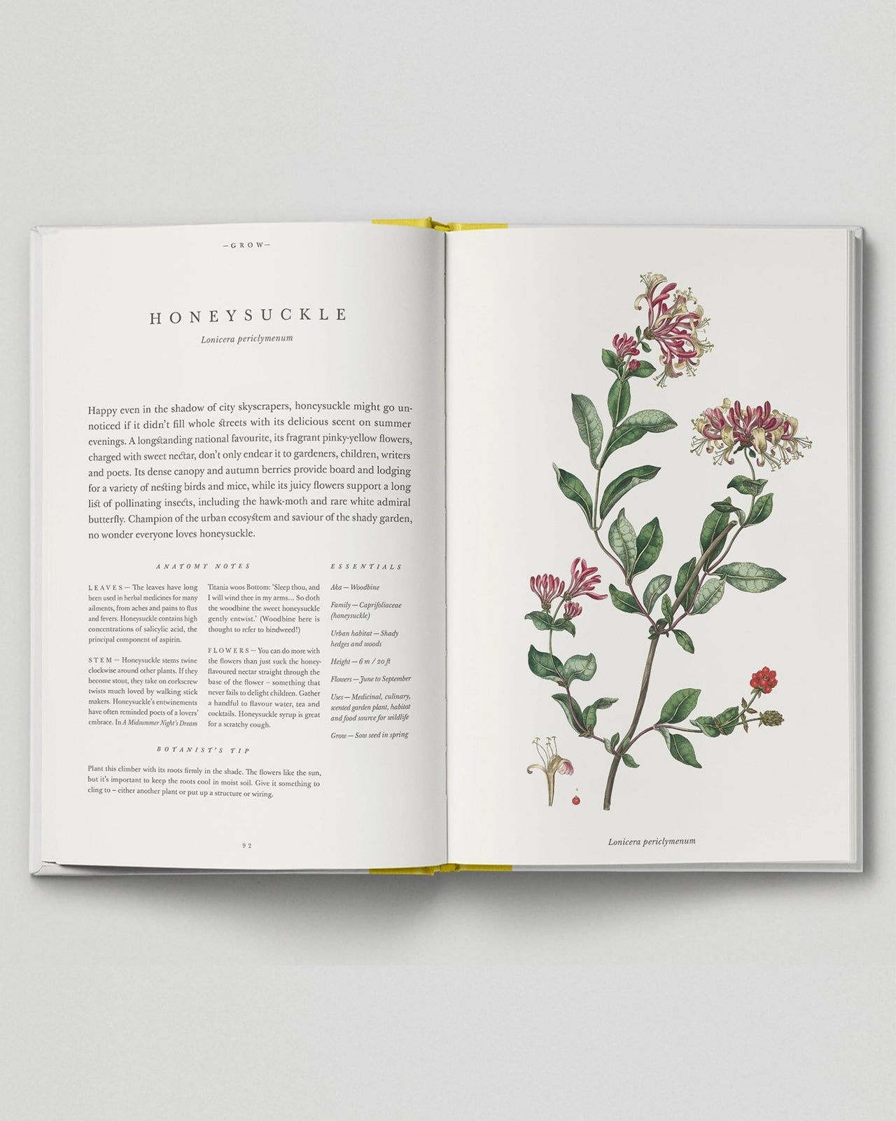 The Botanical City - 03