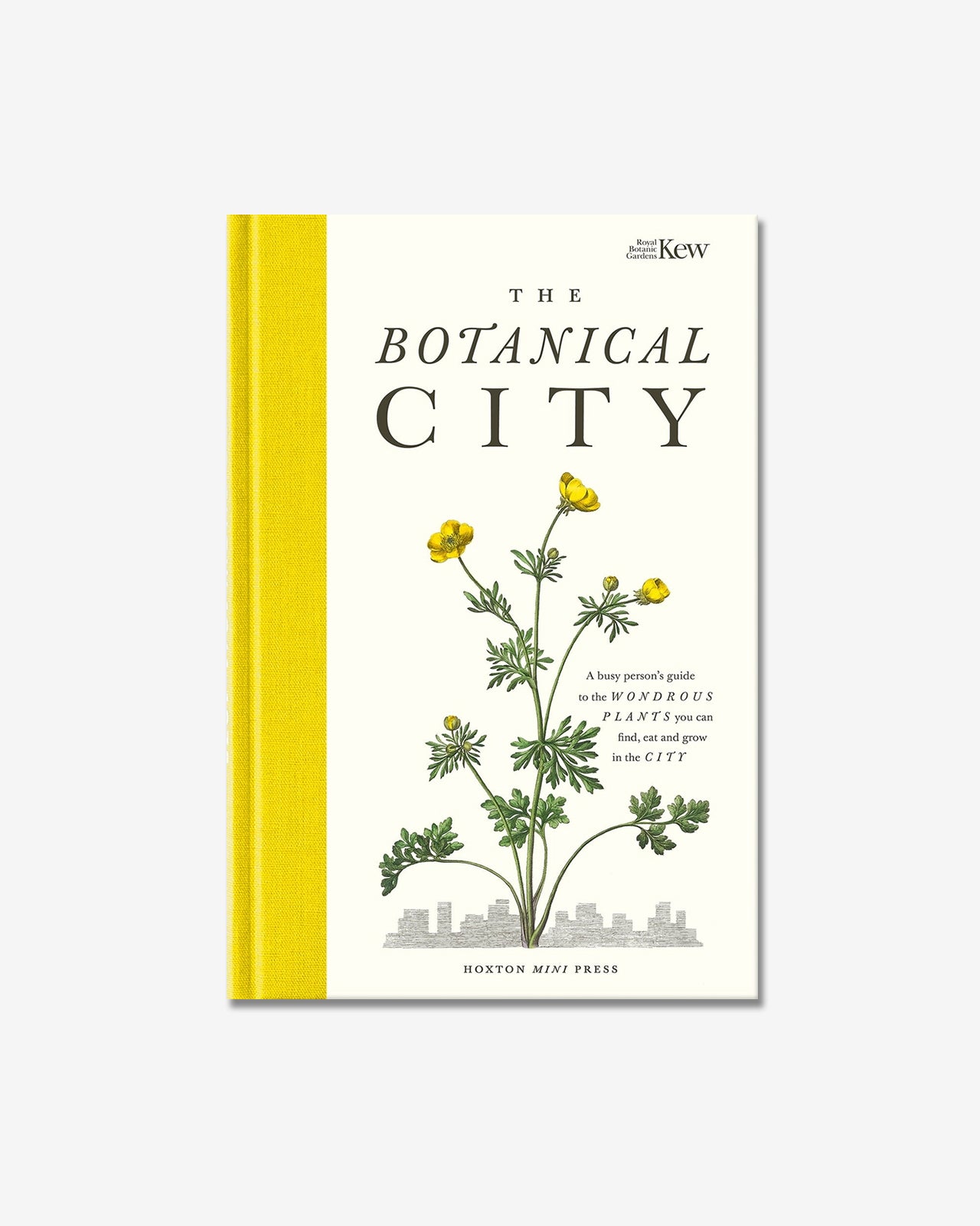 The Botanical City - Front