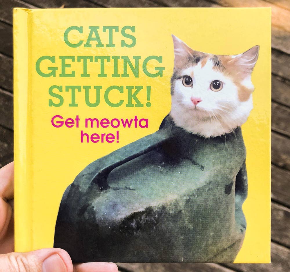 Cats Getting Stuck!