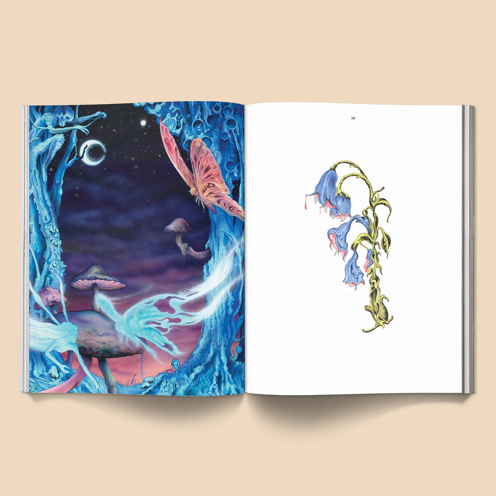 Daniel Herwitt: Zonnebloemvorm Kunstboek