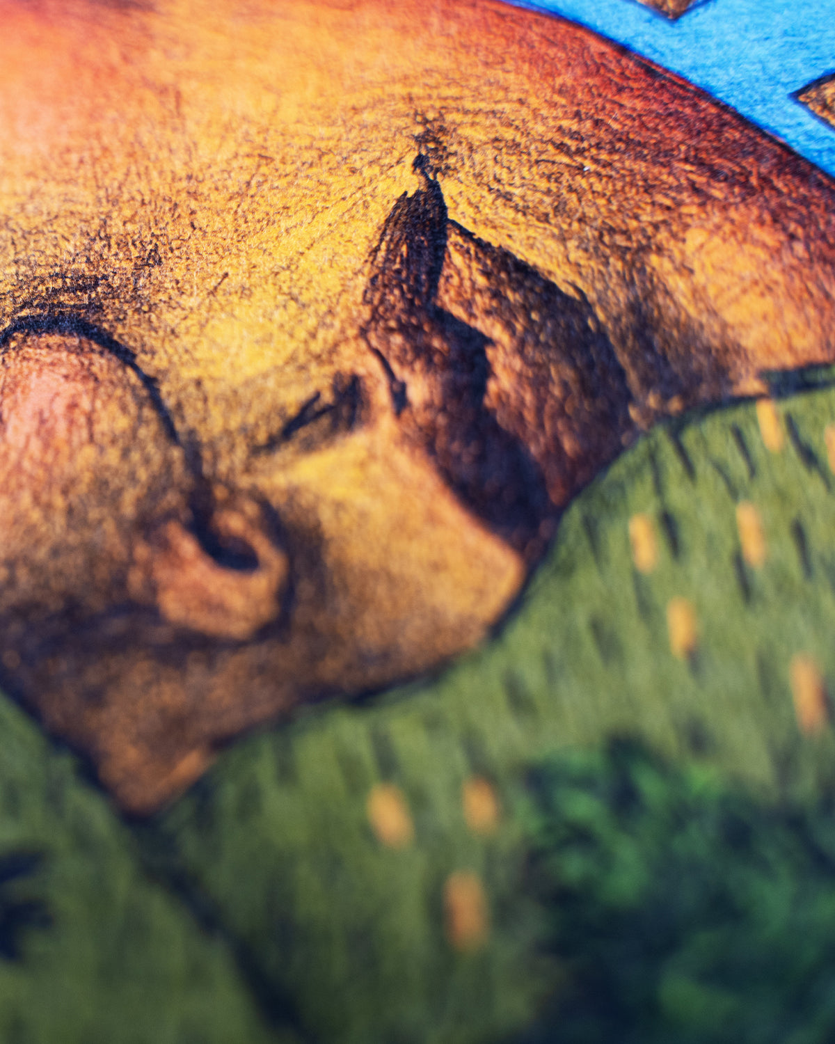 The sun and the sheeps around it - Sterre van Bommel - Closeup 05