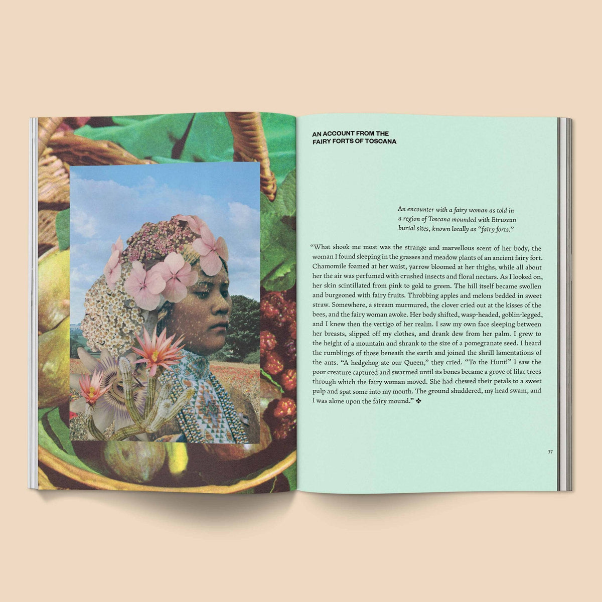 Fruit of Mythic Dreaming, interior collage spread