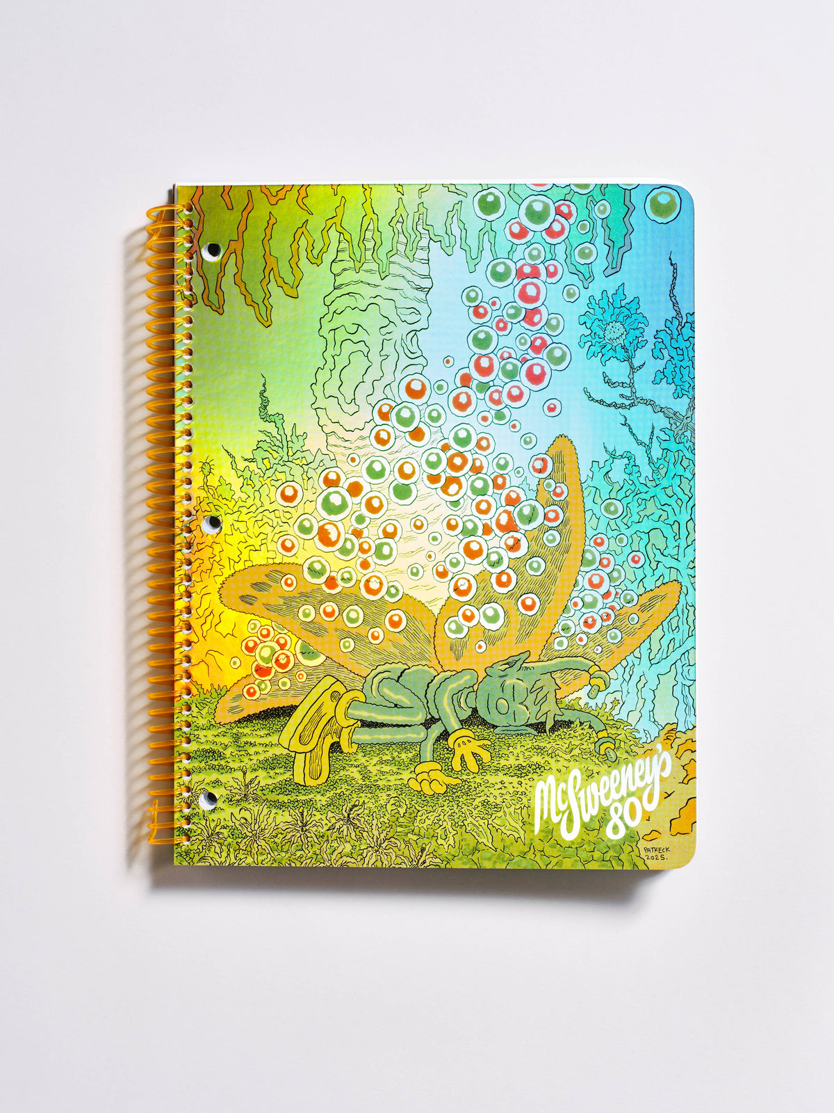 McSweeney’s Uitgave 80