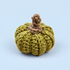 Kleine olijfgroene gehaakte pompoen Hannelore Modderkolk, AI-studiofoto