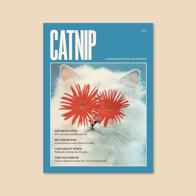 Catnip Magazine volume 2