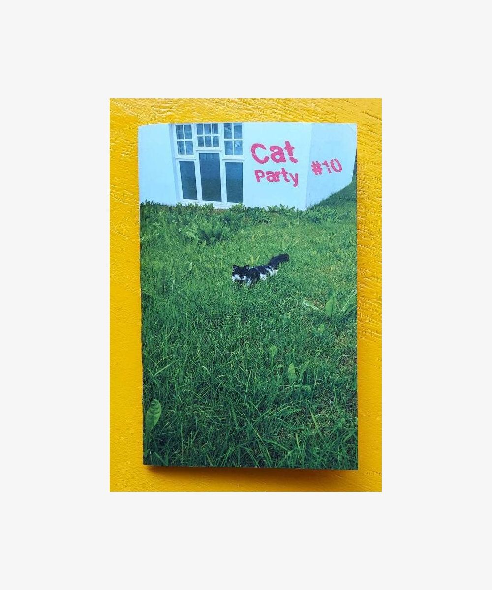 cat party ten – professional cover image with consistent neutral border