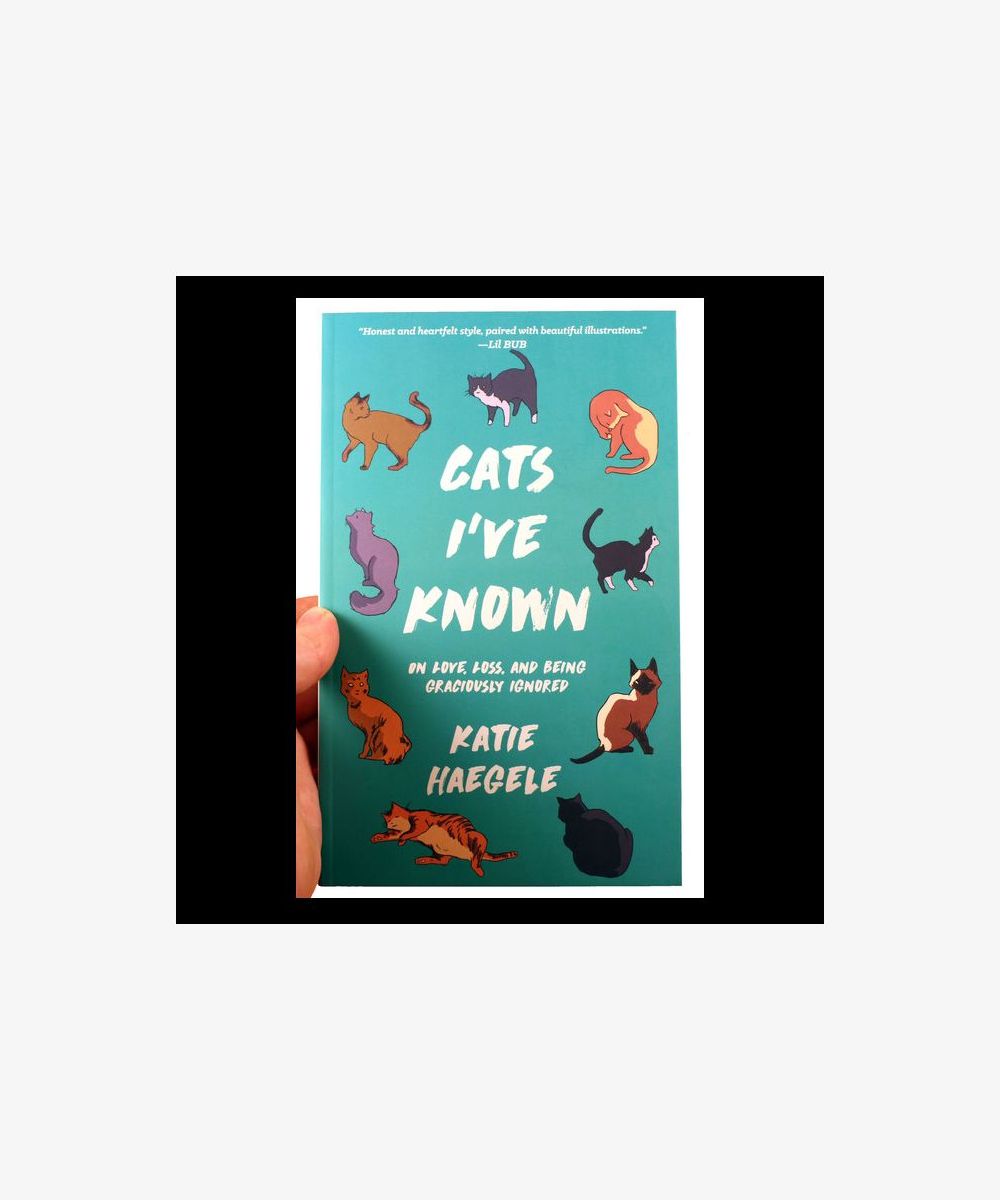 cats ive known – centred cover image on pale background