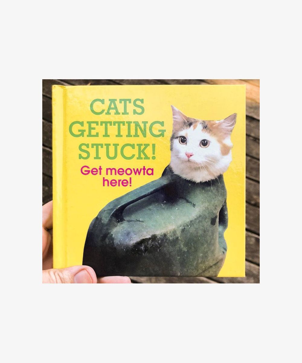 cats stuck – centred cover image on pale background