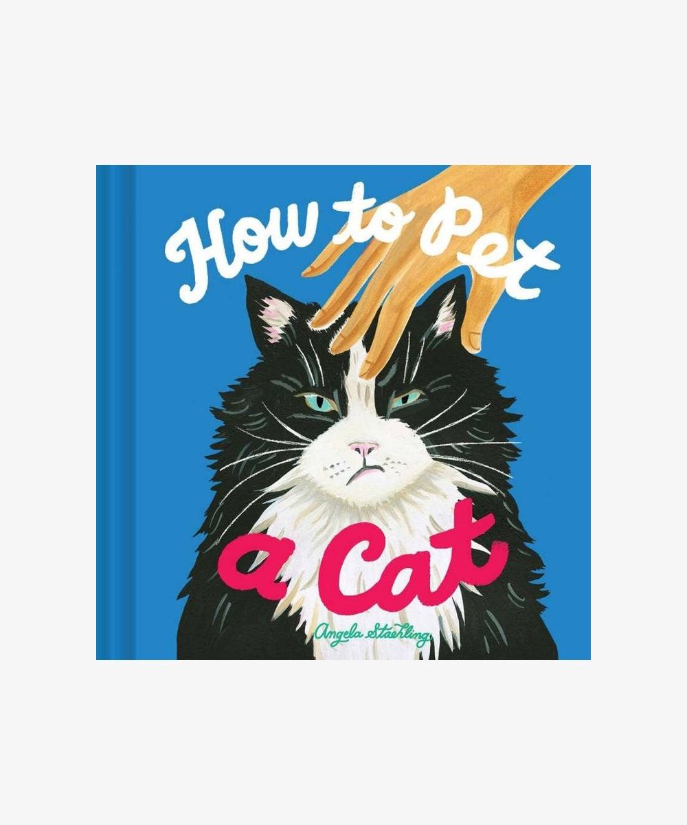 how pet cat – centred book or deck cover on light neutral background